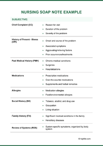 Nursing Notes Example - Word | PDF | Google Docs - Highfile