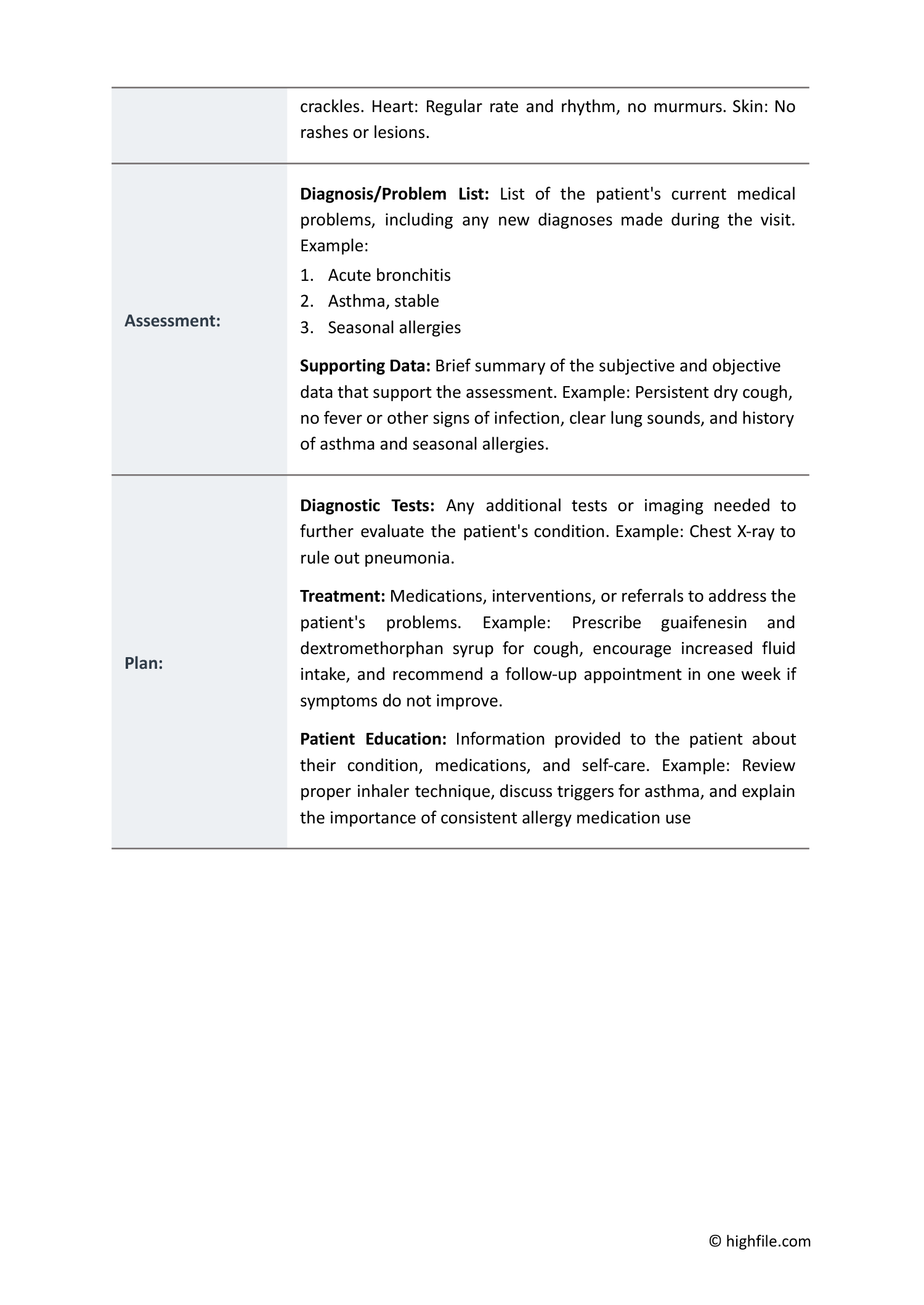 SOAP Note Template for Nurse Practitioners - Word | PDF | Google Docs ...