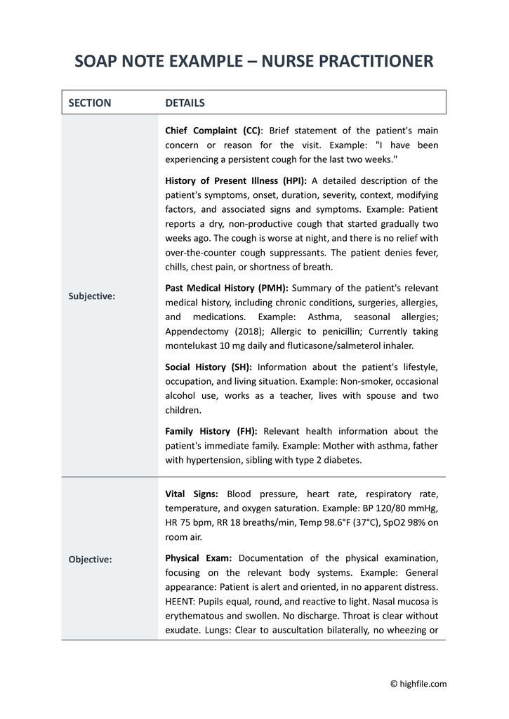Nursing Notes Example Word Pdf Google Docs Highfile Nursing Notes Example Word Pdf Google Docs Highfile