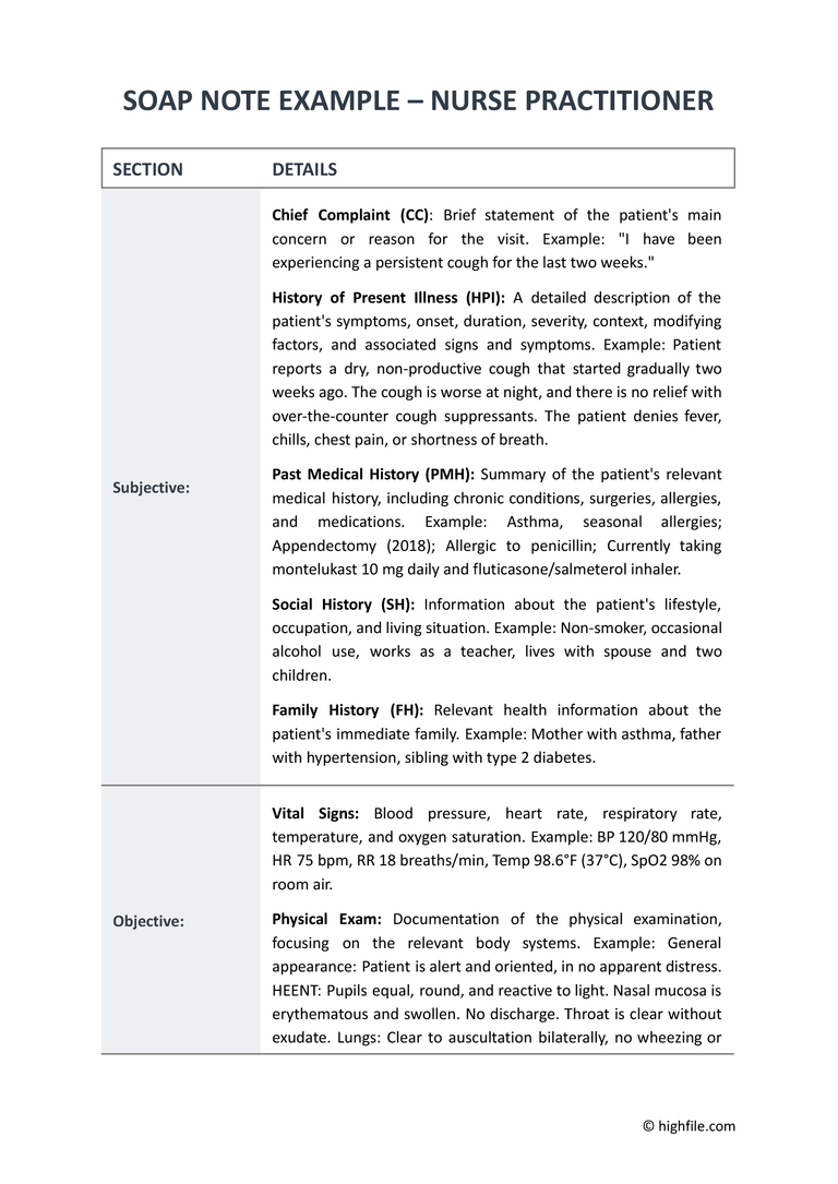 Printable Nursing Notes Templates In Google Docs Pdf And Word Highfile Printable Nursing Notes Templates In Google Docs Pdf And Word Highfile