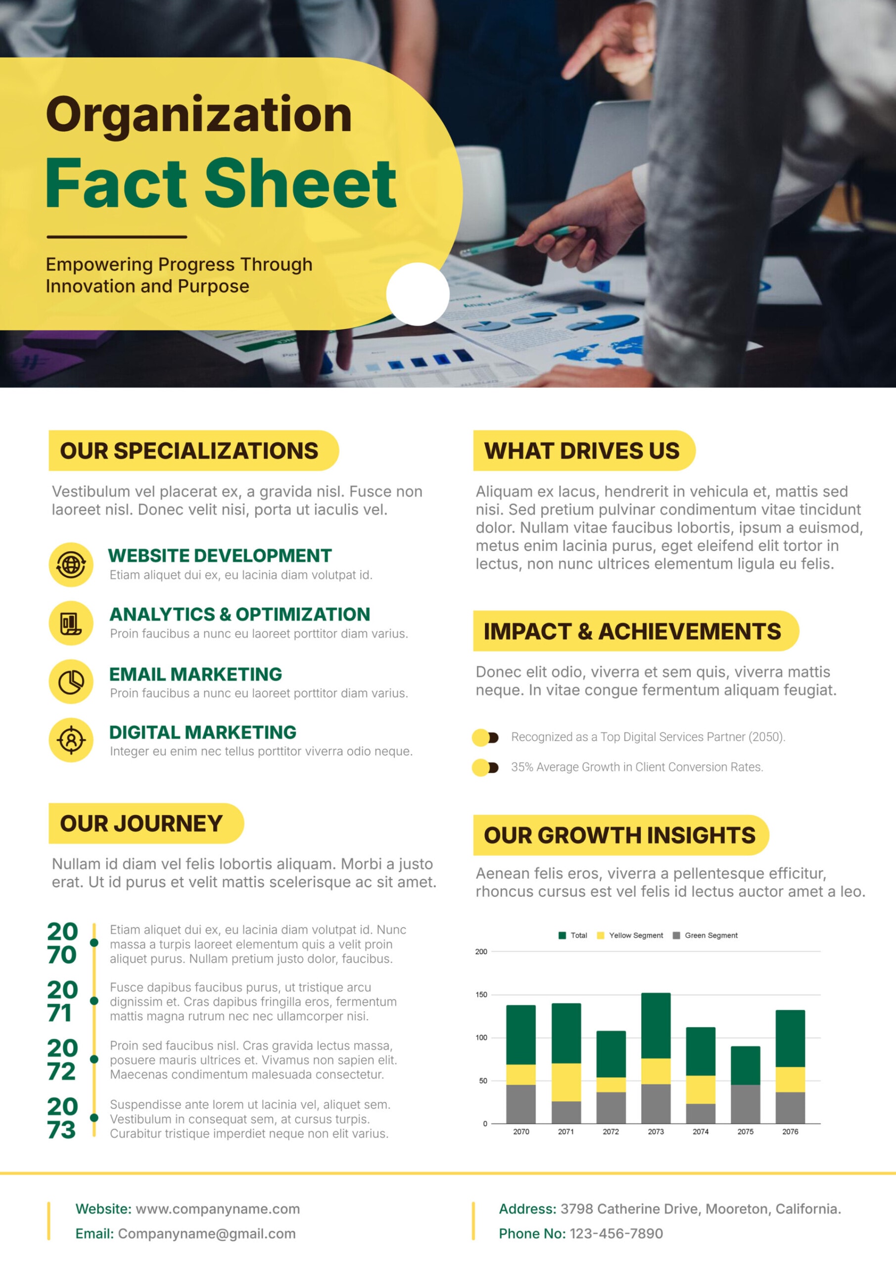 Professional Company Fact Sheet Template - Google Slides | PowerPoint ...