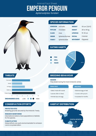 Free Editable Fact Sheet Templates - Highfile