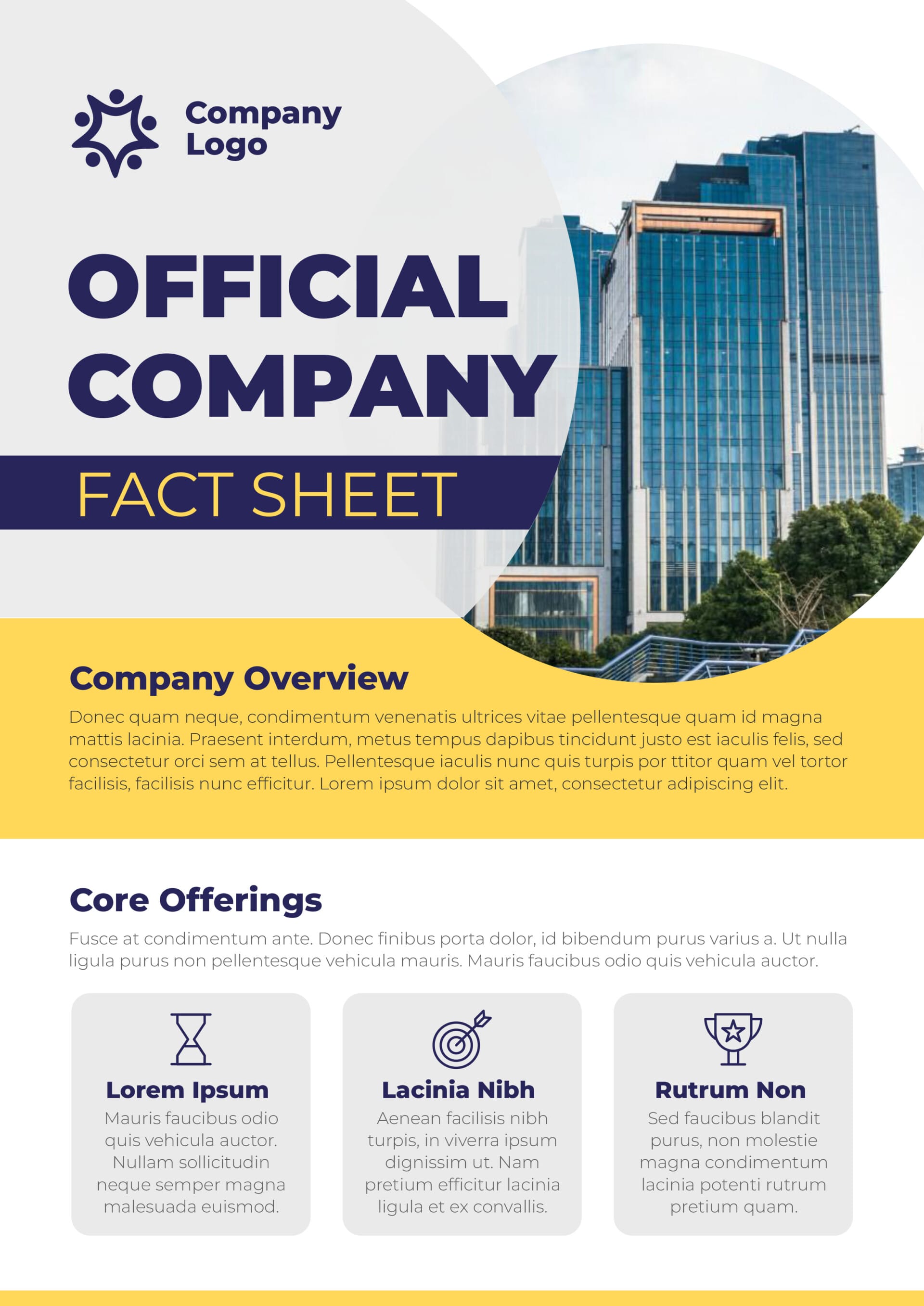 Company Overview Fact Sheet Template - Google Slides | PowerPoint ...