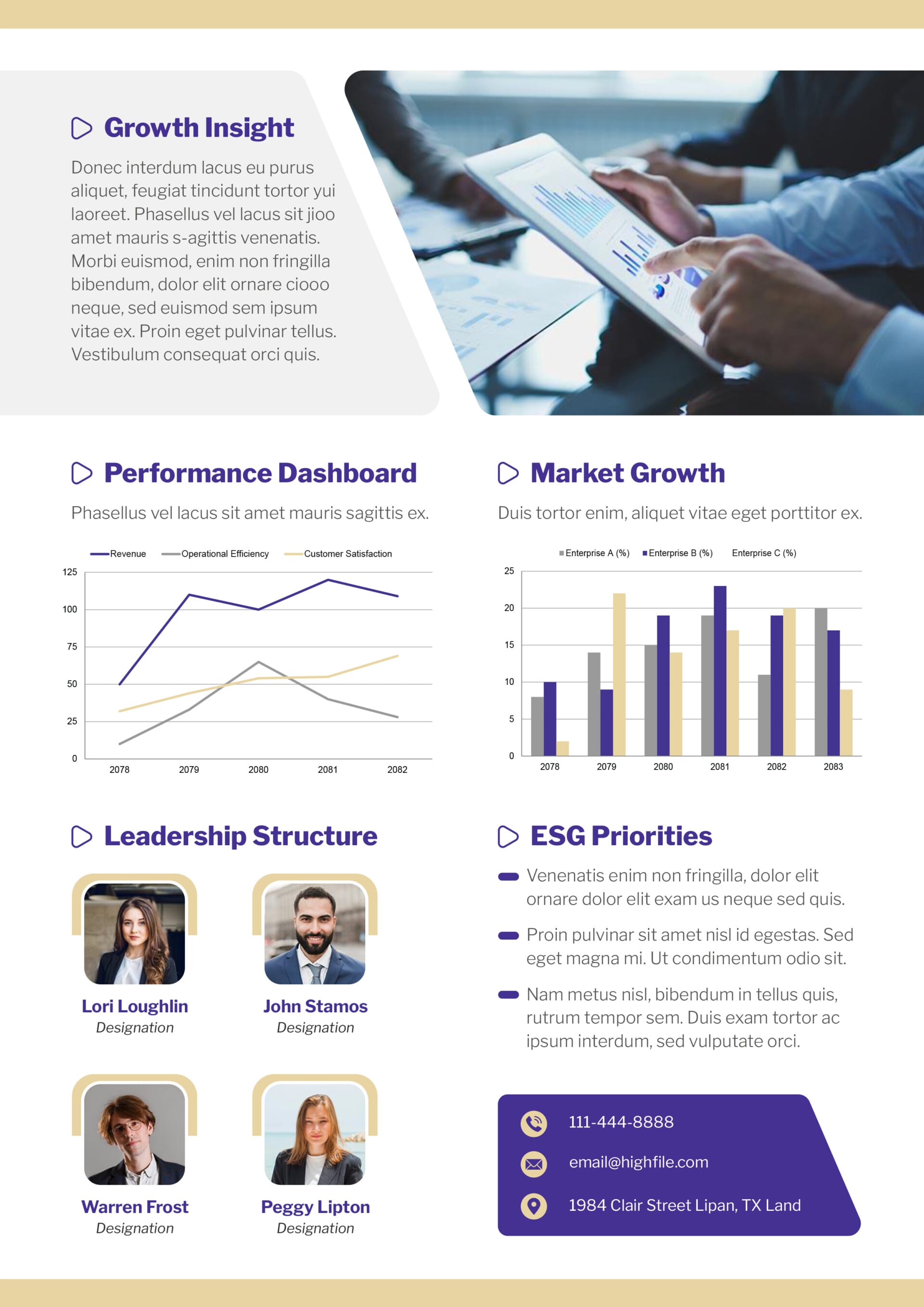 Executive Enterprise Fact Sheet Template - Google Slides | PowerPoint ...